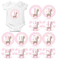 Gift Set of 12 Round Keepsake Photography Monthly Baby Stickers with Pink Giraffes MOSG178