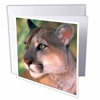 3D Rose Greeting Card with Envelope, Set of 1 (gc_88204_5)