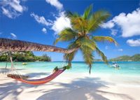 Leowefowa 7X5FT Vinyl Photography Backdrop Beach Seaside Coconut Tree Hammock Blue Sky White Cloud Nature Background Sweet Baby Kids Children Lover Wedding Photo Studio Props