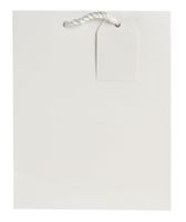 Jillson Roberts Bulk Medium Gift Bags Available in 19 Colors, White Matte, 120-Count (BMT924)