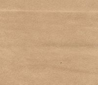 Micro/Passion Suede Fabric 58" Wide Sold by The Yard (Parchment #8)