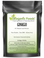 Ginkgo - 8:1 Natural Leaf Fine Powder Extract (Ginkgo biloba), 2 kg
