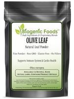 Olive Leaf - Natural Leaf Fine Powder (Olea Europea), 10 kg