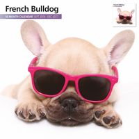 Magnet & Steel 2017 French Bulldog Calendar, Wall Calendar