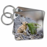3D Rose Key Chains, Set of 2 (kc_231932_1)