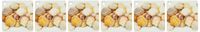 3dRose Sea Shells by the Sea Shore - Summer - Beach Theme - Key Chains, 2.25 x 4.5 inches, set of 6 (kc_50550_3)