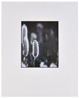 Nielsen Bainbridge Black PRE-Cut Portrait 16"X20"ARTCARE White w/Bevel MAT W/8"X10" Opening, 10 Piece