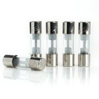 AGU Fuse Glass Fuse Silver Tips -5 pack (25 AMP)