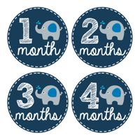 Pinkie Penguin Elephant Baby Monthly Stickers - Milestone Onesie Stickers - 1-12 Months - Baby Boy Month Stickers