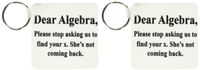 3dRose Dear Algebra please stop asking us to find your x - Key Chains, 2.25 x 4.5 inches, set of 2 (kc_171887_1)
