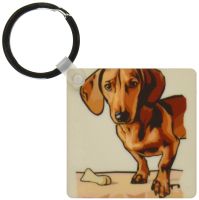 3dRose Cute and Cuddly Canine Standing Dachshund - Key Chains, 2.25 x 4.5 inches, set of 2 (kc_129125_1)