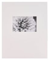 Nielsen Bainbridge PRE-Cut Landscape 11"X14" ARTCARE White MAT with 4"X6" Opening
