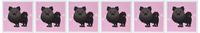 3dRose Cute Black Pomeranian Pink with Paw Prints - Greeting Cards, 6 x 6 inches, set of 6 (gc_10828_1)