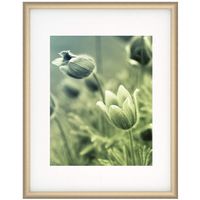 Nielsen Bainbridge Cosmopolitan Frames satin gold 11 in. x 14 in. 8 in. x 10 in. opening