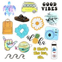 VSCO Stickers for Water Bottles, Trendy Aesthetic Laptop Stickers, Waterproof Stickers Vinyl Stickers for Teens VSCO Girl Essential Stuff Cute Stickers for Hydroflasks Computer Photo Sharing Decals