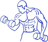 hBARSCI Bodybuilder Vinyl Decal - 5 Inches - for Cars, Trucks, Windows, Laptops, Tablets, Outdoor-Grade 2.5mil Thick Vinyl - Royal Blue