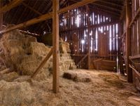 Leowefowa 9X6FT Vinyl Old Barn Backdrop West Cowboy Vintage Old Wooden Barn Straw Hay Bale Autumn Harvest Rustic Stripes Wood Plank Indoor Photography Background Photo Studio Props