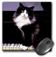 3dRose LLC 8 x 8 x 0.25 Inches Mouse Pad, Tuxedo Cat (mp_575_1)