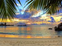 Leowefowa Vinyl 9X6FT Seaside Sand Beach Backdrop Tropical Coconut Tree Sunset Scene Photography Background Kids Adults Summer Holiday Tourism Wedding Wallpaper Photo Studio Props