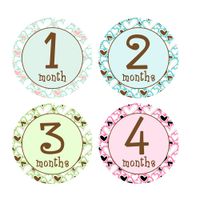 Baby Monthly Stickers for Onesies Hearts 1-12 Months Milestone Stickers Newborn Girl Stickers Infant Photo Prop Baby Shower Gift Bonus Sheet Included