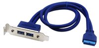 zdyCGTime USB 3.0 A to 19 Pin Cable Dual USB A 3.0 Female PCI Bracket Screw Mount Type to 19pin Female Motherboard Header Cable USB 3.0 Port Motherboard Expansion to Computer case（Blue 0.5M)