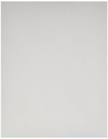 Pentax Letter Size Paper, 100 sheets (PTX 201960)