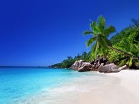 DZJYQ 6.5x5ft(2x1.5m) Tropical Summer Blue Sky Beach Ocean Sea Stone Mountain Green Coconut Tree Forest Holiday Tour Children Newborn Baby Model Birthday Party Backdrop Photography Background 42