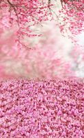 Vacally Dreamlike Landscape Vinyl Wall Floor Photography Studio Prop Backdrop Background Home Decor Living Room Photo Picture Decor 3x5FT (Multicolour 2)