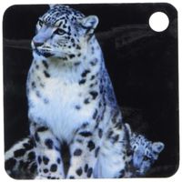 3dRose Snow Leopard, Panthera uncia, Asia - AS26 AMR0000 - Andres Morya Hinojosa - Key Chains, 2.25 x 4.5 inches, set of 2 (kc_132849_1)