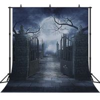 DePhoto 10X10FT Seamless Halloween Night Vinyl Photography Backdrop Photo Background Studio Prop WHW001