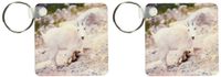 3dRose Alberta, Banff NP, Rocky Mountain goat-CN01 RER0051 - Ric Ergenbright - Key Chains, 2.25 x 4.5 inches, set of 2 (kc_76167_1)