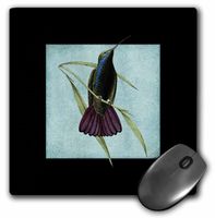 3dRose LLC 8 x 8 x 0.25 Inches Mouse Pad, Vintage Hummingbird with Lace- Animals- Birds (mp_79085_1)