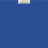 50 Bright Royal Blue Color 65# Cover/Card Paper Sheets 12 X 12 Inches Scrapbook Album Cover Size - 65 lb/pound Light Weight Cardstock - Quality Smooth Paper Surface
