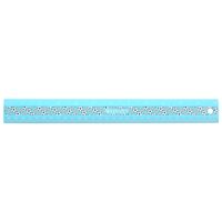 Westcott Kid's Sports Soccer Ruler, 12-Inch, Case of 72 (500-16863)