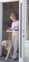 Bug Off 36 by 96 Instant Screen, Fits Some Single Tall Doors, New Construction Homes