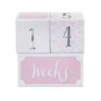 Baby Aspen My First Milestone Princess Age Blocks | Baby Picture Props for Photo Sharing The First Year