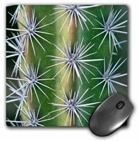 3D Rose"USA Ca Pasadena The Huntington Botanical Garden Octopus Cactus." Matte Finish Mouse Pad - 8 x 8" - mp_208728_1