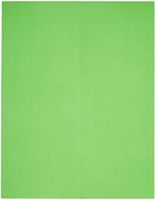 Compulabel Fluorescent Green Address Labels for Laser Printers, 4 x 2 Inches, Permanent Adhesive, 10 per Sheet, 1000 Sheets per Carton (340011)