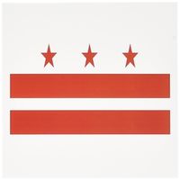 3dRose Image of Flag of Washington Dc, Greeting Cards, Set of 6 (gc_174161_1)