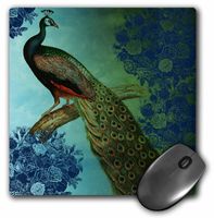 3dRose LLC 8 x 8 x 0.25 Inches Mouse Pad, Peacock with Vintage Blue Roses (mp_152138_1)