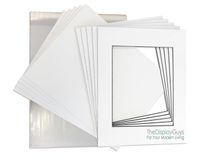 THE DISPLAY GUYS Professional 11x14 Pack of 25 Deluxe White w/Black Core Picture Photo Matting Mat Boards + Backing Boards + Clear Plastic Bags Complete Set