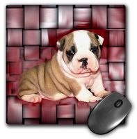 3dRose LLC 8 x 8 x 0.25 Inches British Bulldog Puppy Mouse Pad (mp_4118_1)