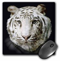 3dRose LLC 8 X 8 X 0.25 Inches Mouse Pad, White Tiger Full Head Painting in Digital Oils (mp_36130_1)