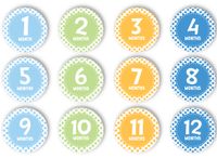 Tiny Ideas First Year Monthly Milestone Photo Sharing Baby Belly Stickers, 1-12 Months, Blue