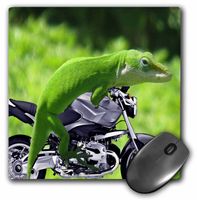 3dRose LLC 8 x 8 x 0.25 Inches Gecko Rider Mouse Pad (mp_21653_1)
