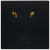3dRose Image of Close Up of Black Dragon Face with Yellow Eyes Mouse Pad (mp_171636_1)