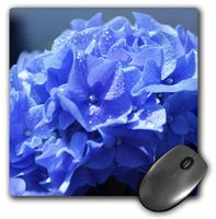 3dRose LLC 8 x 8 x 0.25 Inches Mouse Pad, Blue Hydrangea Flowers (mp_53673_1)