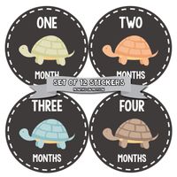 Months In Motion Gender Neutral Baby Month Stickers - Monthly Milestone Sticker for Boy or Girl - Onesie Month Sticker - Shower Gift - Newborn Keepsakes - Unisex - Turtles