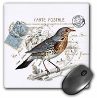 3dRose LLC 8 x 8 x 0.25 Inches Mouse Pad, Carte Postale Vintage Bird (mp_178816_1)