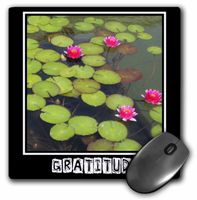 3dRose LLC 8 x 8 x 0.25 Inches Mouse Pad, Zen Gratitude Lily Pads and Lotus Flowers Spirituality Motivational (mp_29477_1)